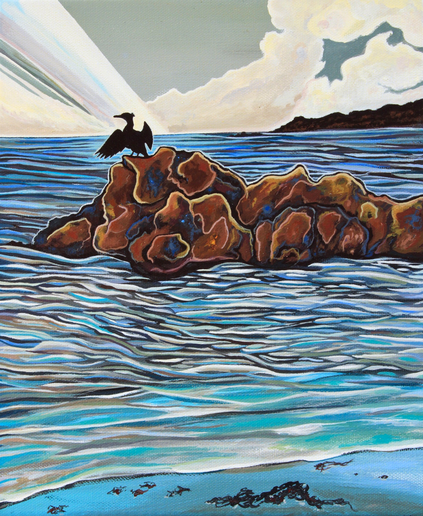 'Ocean Wings' ( Cormorant ) canvas print